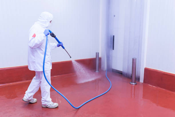 Best Boat and Dock Cleaning  in Ocean Acres, NJ